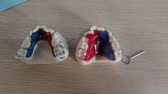 comprare Casse per impianti dentali di alta durata Casse per impianti artificiali per dentisti online manufacture