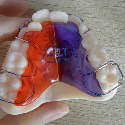 comprare Scenari di impianto di plastica a superficie liscia per soluzioni personalizzate online manufacture